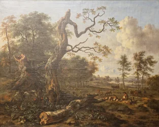 Jan Wynants - Waldrand